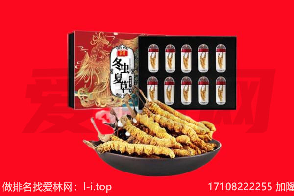迪庆州德钦回收虫草.jpg